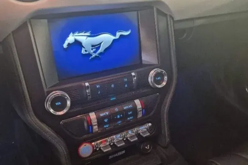 Mustang GT 5.0 , Usato, Svizzera, Tenero