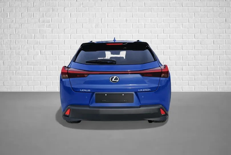 Lexus UX250h, Usato, Svizzera, Mendrisio