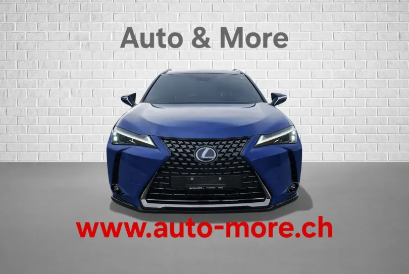 Lexus UX250h, Usato, Svizzera, Mendrisio