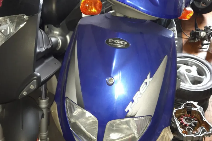 PGO-Trex 50cc , Usato