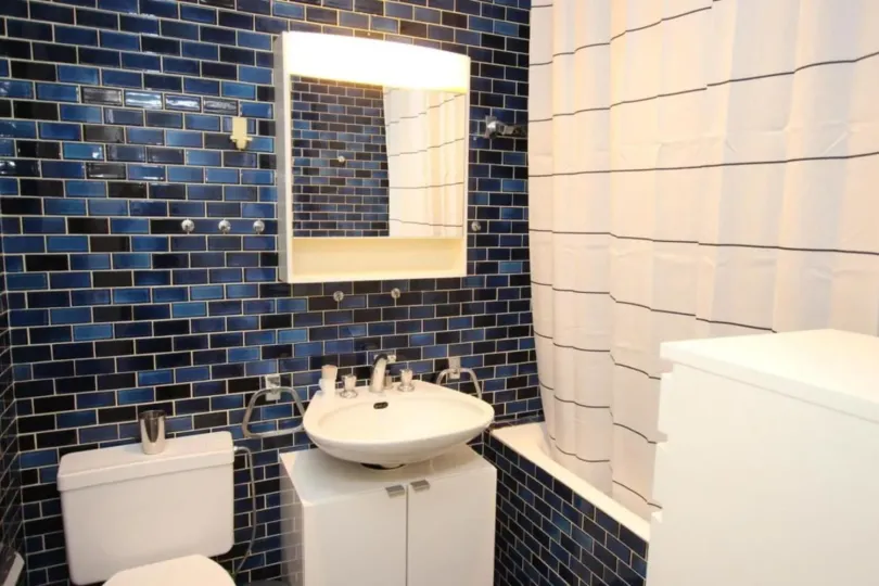 Studio Meublé 35 m2 à Geneve Quartier pittoresque, Svizzera, Geneva