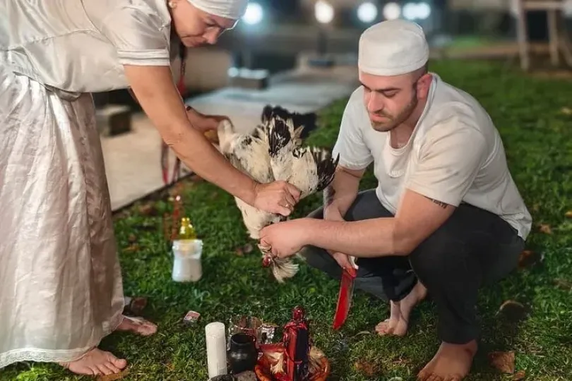 Ritorno dell'affetto, separazione e casi difficil , Switzerland