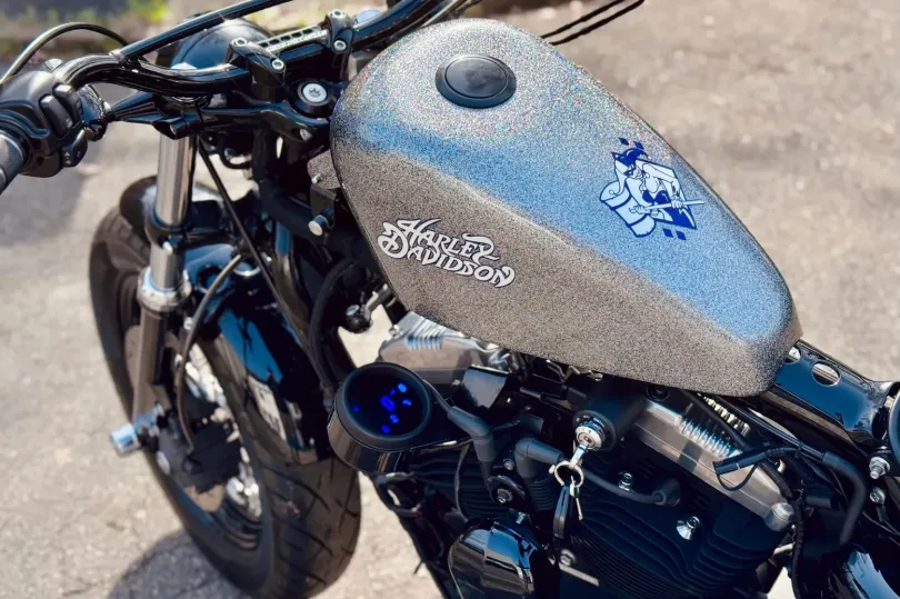 HARLEY-DAVIDSON 2011 FORTY-EIGHT (XL1200X), Usato, Svizzera, Camorino