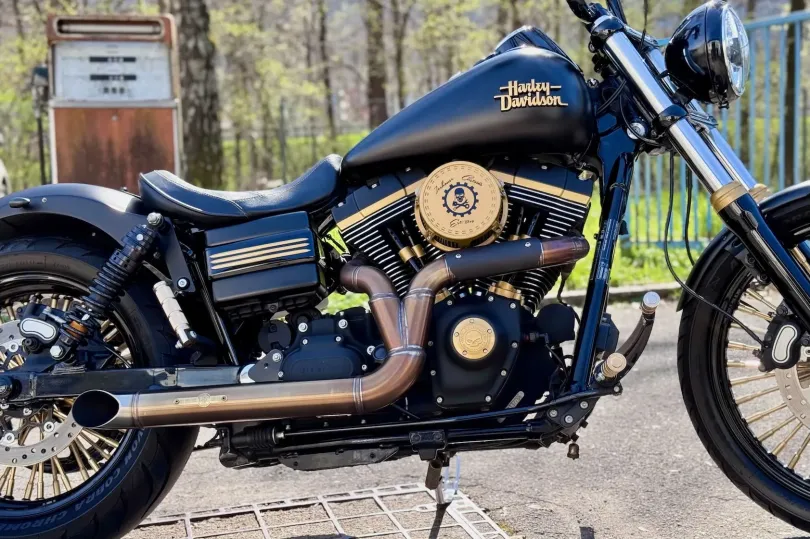 HARLEY-DAVIDSON FXDF Dyna Fat Bob, Usato, Svizzera, Camorino