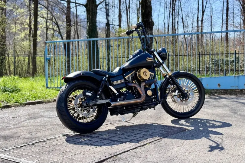 HARLEY-DAVIDSON FXDF Dyna Fat Bob, Usato, Svizzera, Camorino