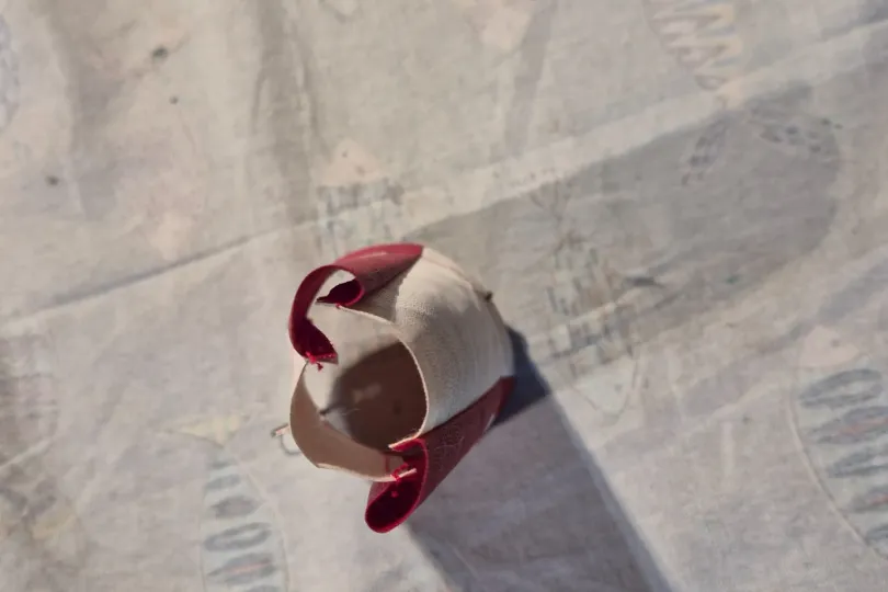 Manica del vento in miniatura, Nuovo, Svizzera, Riva San Vitale