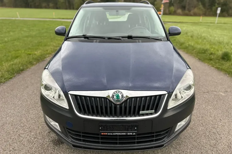 SKODA Fabia 1.2 TDI Greenline, Usagé, Suisse, Hunenberg