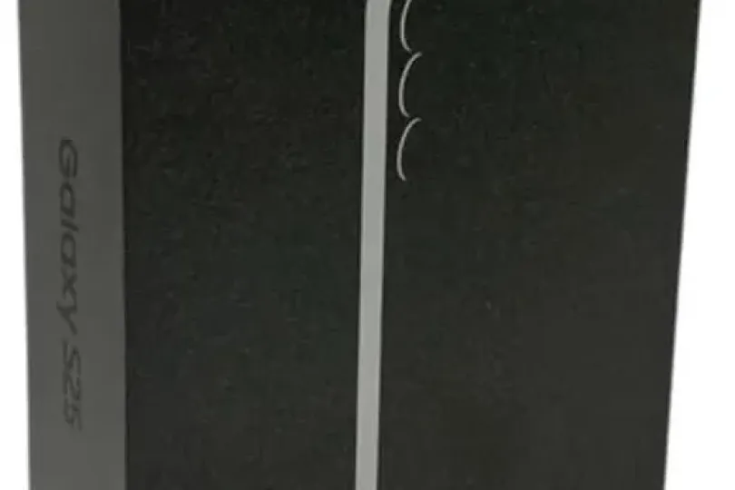 Samsung Galaxy S25 12GB 256GB, Svizzera, Lugano