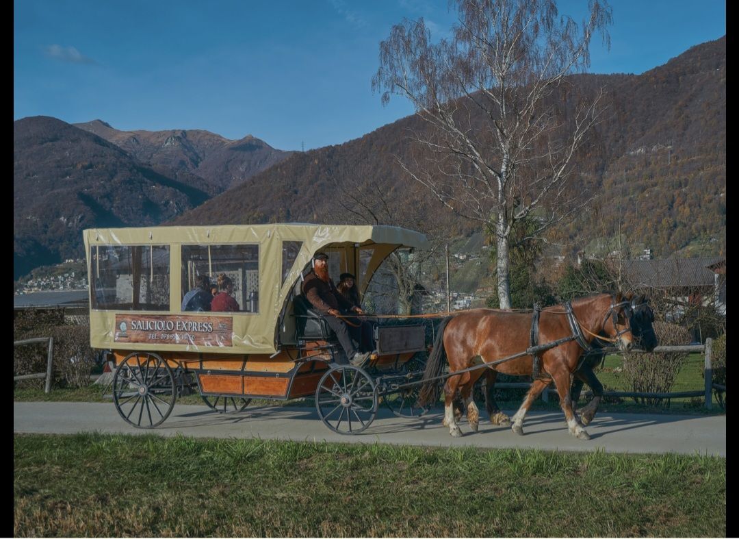 Buono per 10 persone Raclette in carrozza , Switzerland