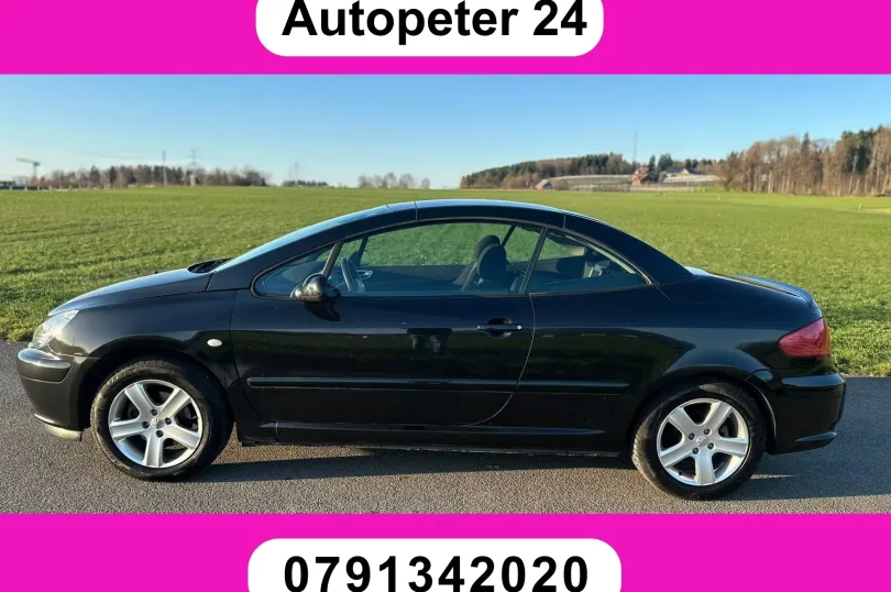 PEUGEOT 307 CC 2.0 16V, Usato, Svizzera, Hunenberg