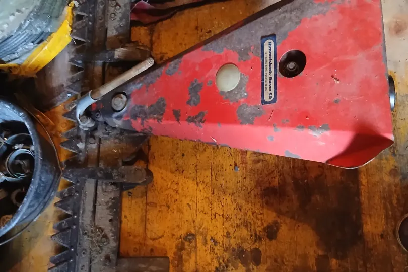 Motofalciatrice Rapid 205, Svizzera, Riva San Vitale