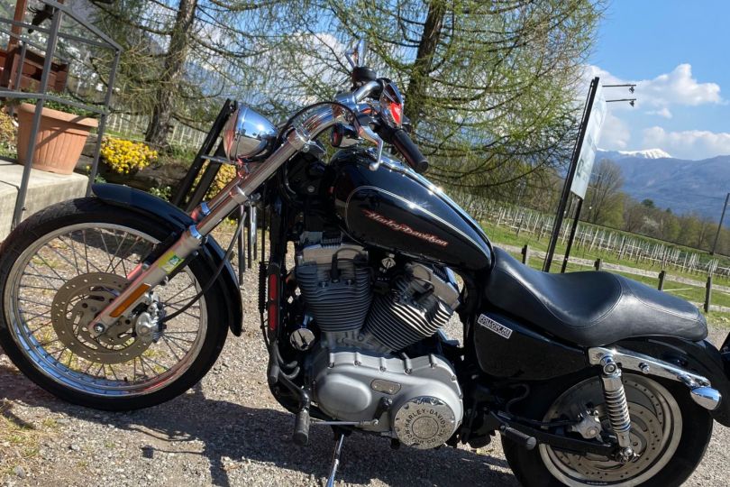 Harley davidson XL sportster 883 C, Usato, Svizzera, Locarno