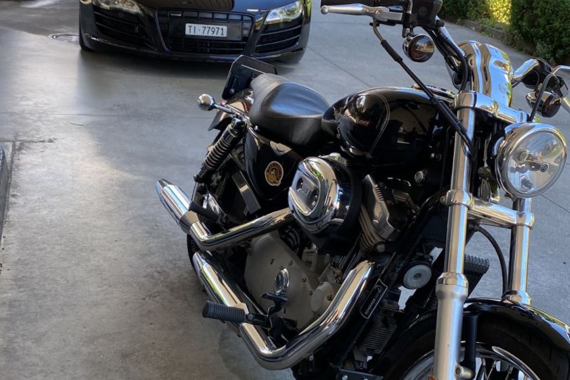 Harley davidson XL sportster 883 C, Gebraucht, Schweiz, Locarno