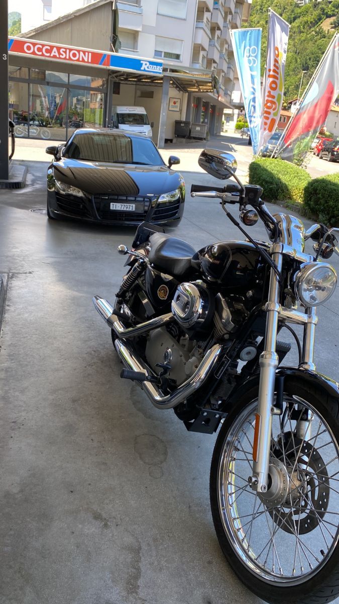 Harley davidson XL sportster 883 C, Usato, Svizzera, Locarno
