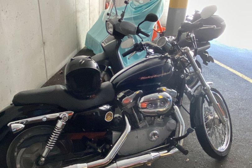 Harley davidson XL sportster 883 C, Usato, Svizzera, Locarno
