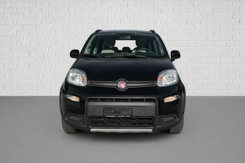 Fiat Panda , Usato, Svizzera, Mendrisio