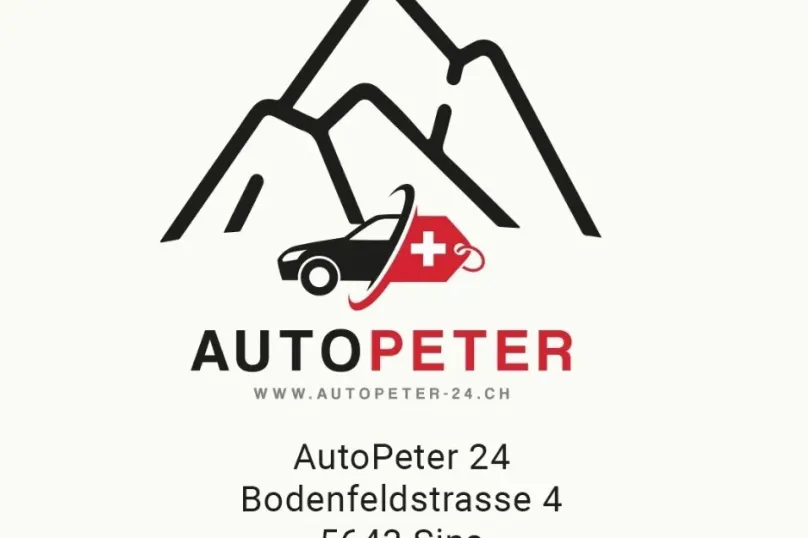 FANKHAUSER FA-1001, Usato, Svizzera, Hunenberg