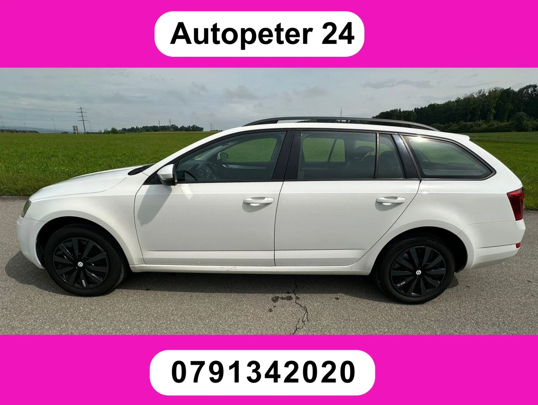 SKODA Octavia Combi 1.6 TDI Swiss Joy 4x4, Used, Switzerland, Horgenberg