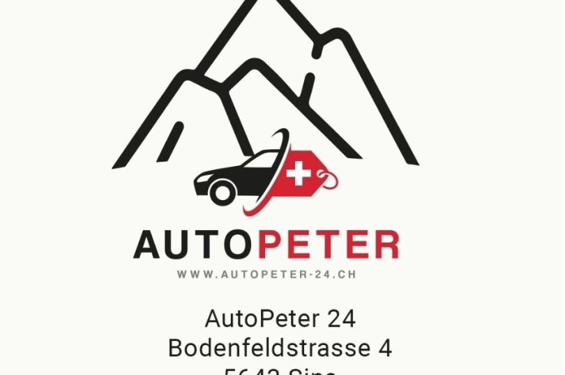 FORD Fiesta 1.1 SCTi Business, Usato, Svizzera, Horgenberg