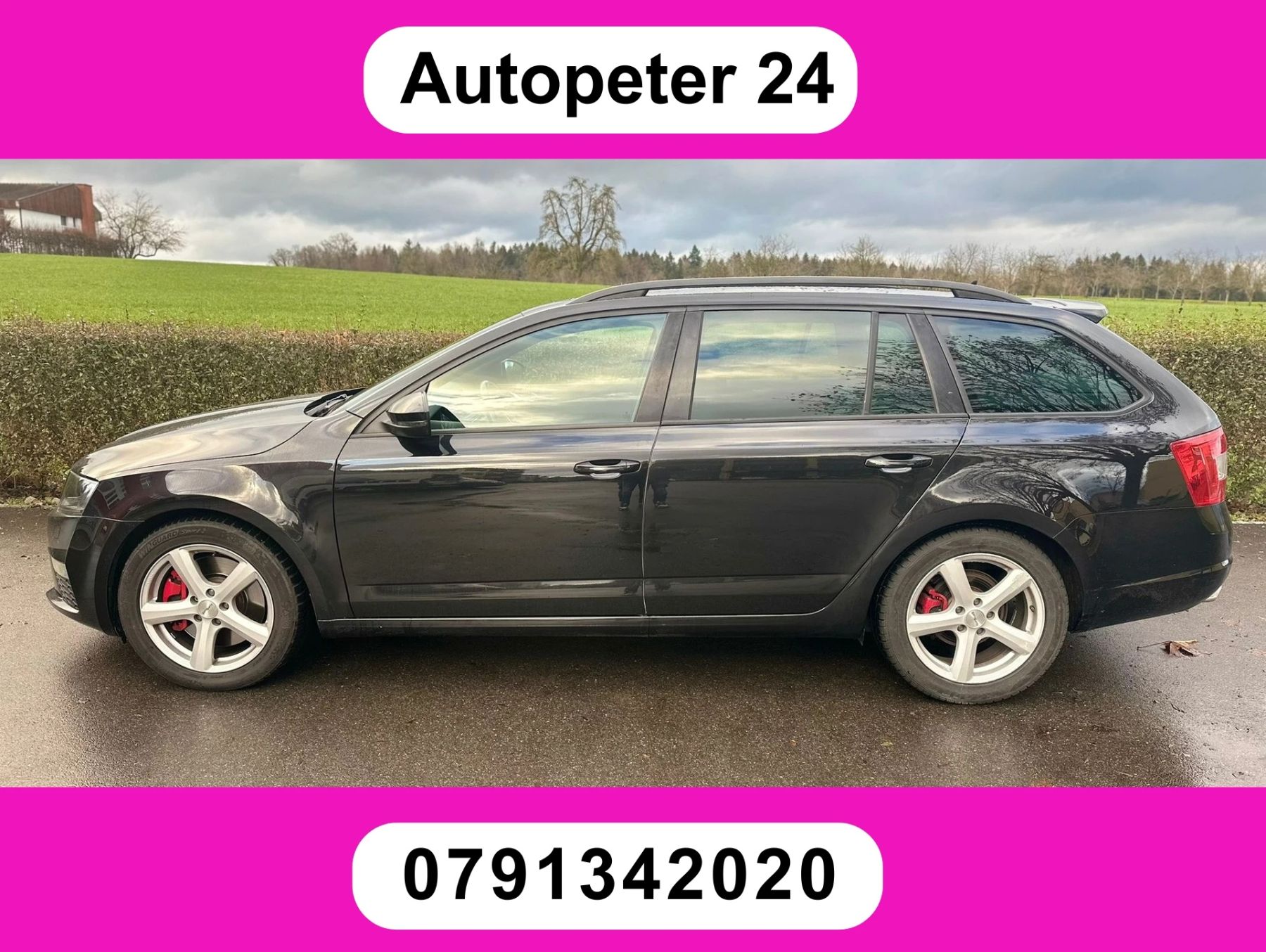 SKODA Octavia Combi 2.0 TSI RS Prag, Usato, Svizzera, Horgenberg