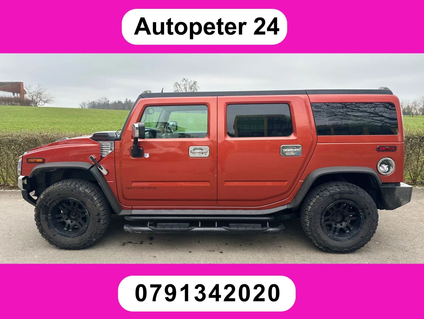 HUMMER H2 6.0, Usato, Svizzera, Horgenberg