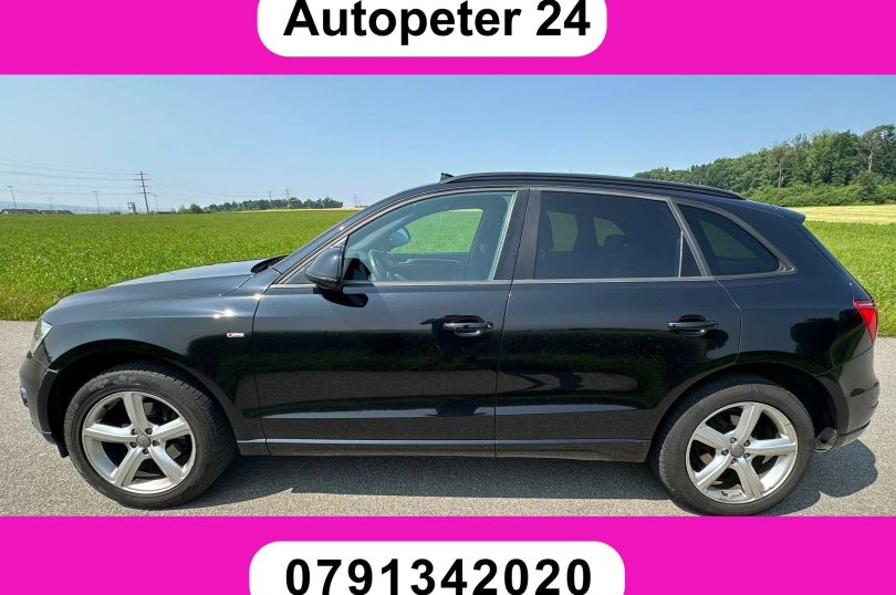 AUDI Q5 2.0 TFSI quattro S-Line, Usato, Svizzera, Horgenberg