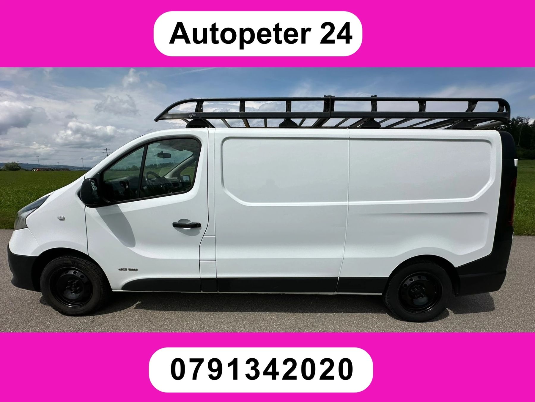 RENAULT Trafic 1.6 ENERGY TwinT. dCi120 2.9t , Usato, Svizzera, Hunenberg