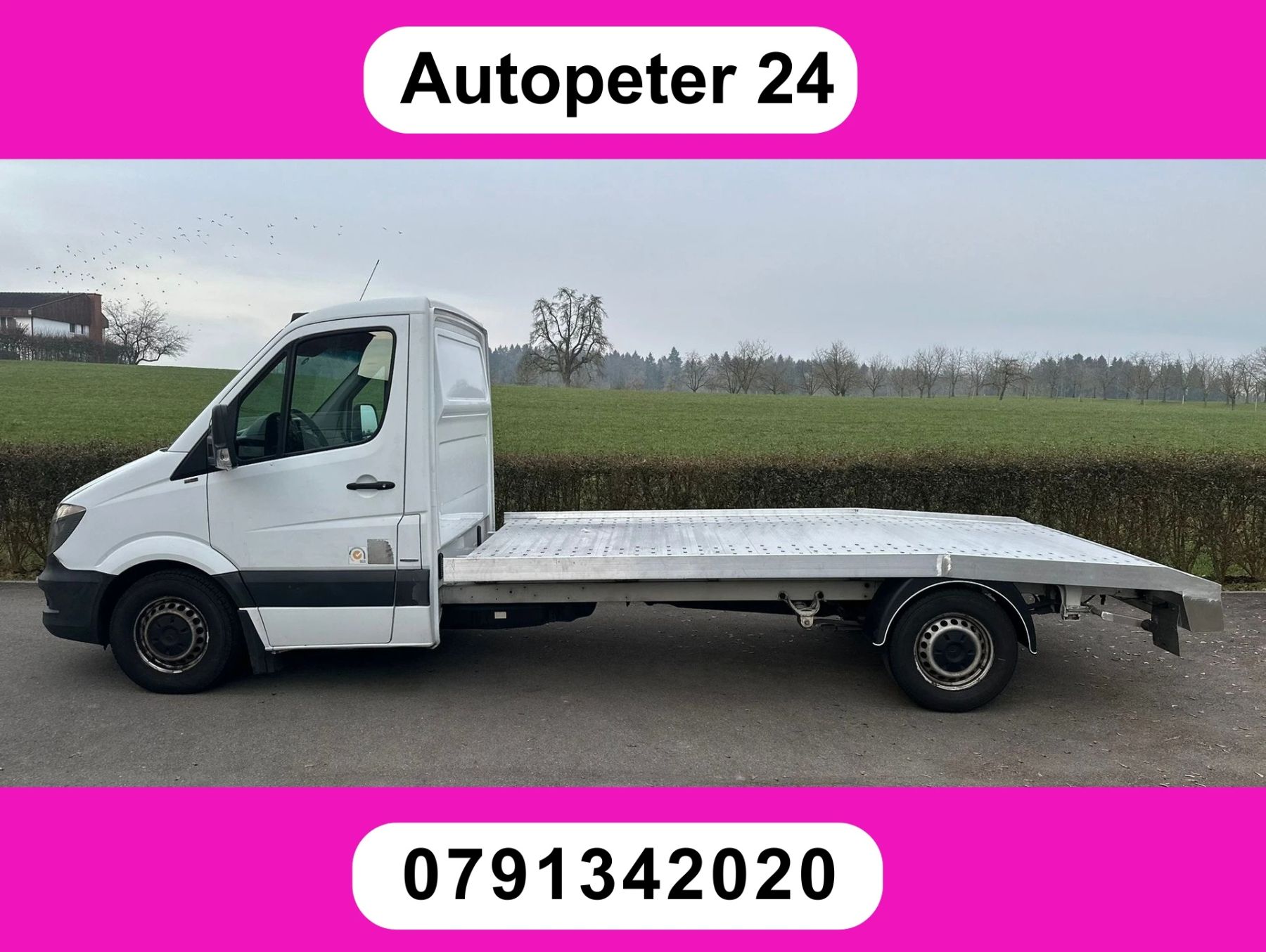 MERCEDES-BENZ Sprinter 316 CDI Lang 7G-Tronic, Usato, Svizzera, Horgenberg