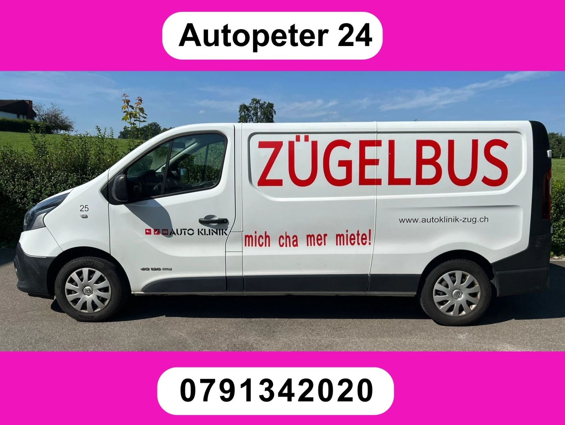 RENAULT Trafic 1.6 ENERGY TwinT. dCi120 2.9t Busin, Usagé, Suisse, Hunenberg