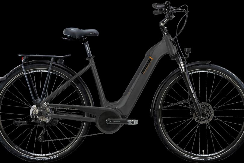BICICLETTA 65Nm ELETTRICA LOMBARDO MONTECATINI, Svizzera, Lugano Annunci gratuiti in Svizzera