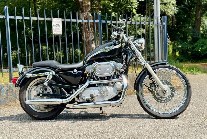 HARLEY-DAVIDSON 2003 SPORTSTER 883 CUSTOM (XL53C), Gebraucht, Schweiz, Camorino