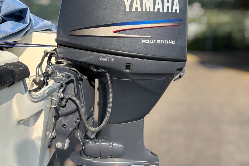 Motore Yamaha 60cv, Suisse, Caslano