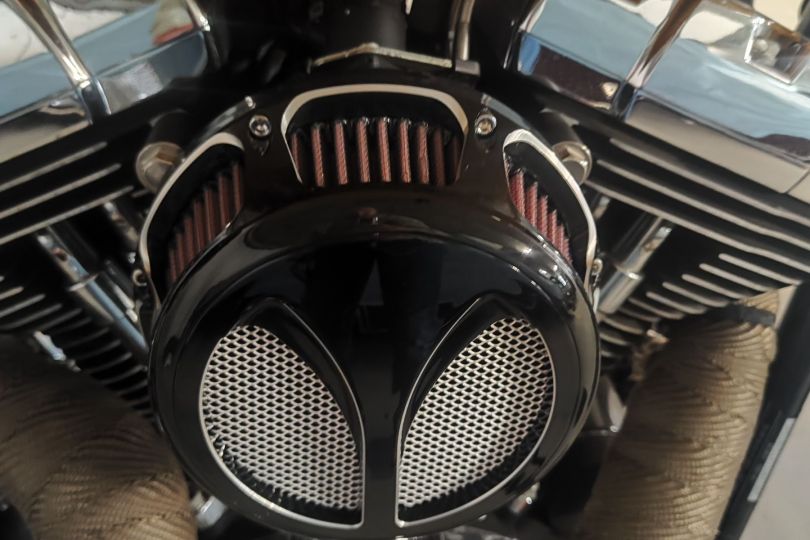 Harley Davidson Fatboy FLSTF, Used, Switzerland, Grono