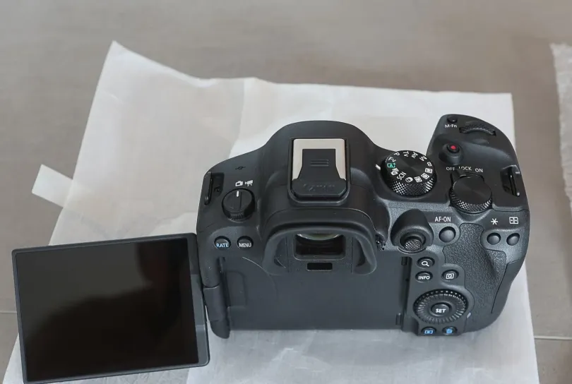 Canon EOS R6 Mark II mit RF 24-105 mm 4.0 L IS USM, Suisse, Gland
