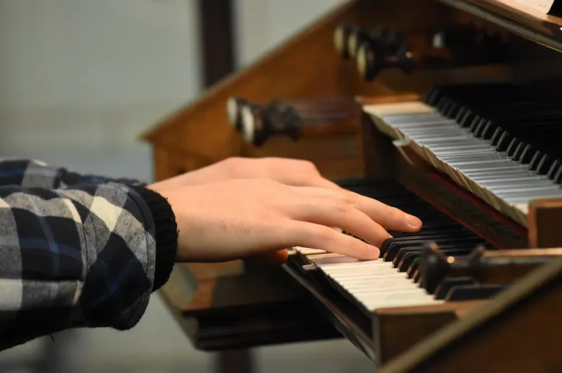 Professioneller Organist , Svizzera, Lucerne