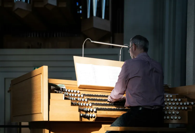 Professioneller Organist , Svizzera, Lucerne
