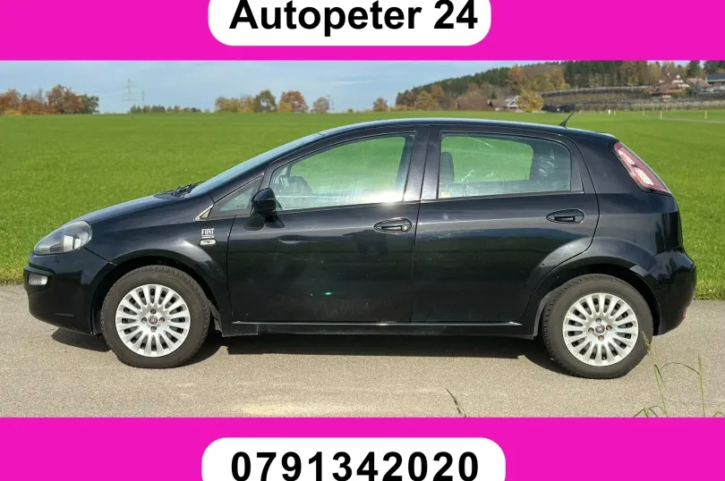 FIAT Punto Evo 1.4 MyLife, Usato, Svizzera, Hunenberg