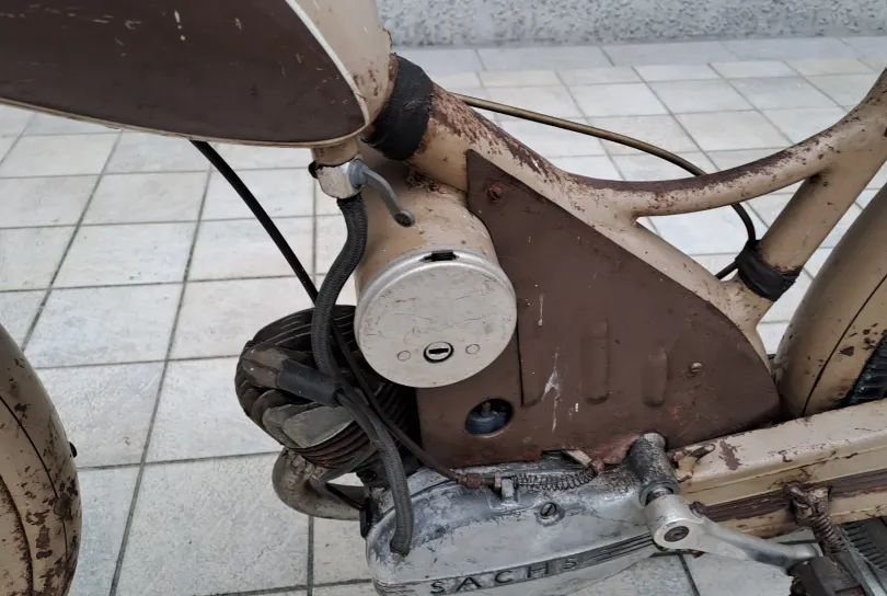 Mammut, Riva San Vitale, Svizzera