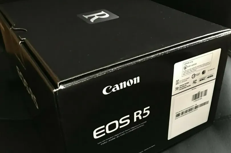 Canon EOS R5 Mirrorless 45MP Camera & RF 24-10, Svizzera, Svizzera