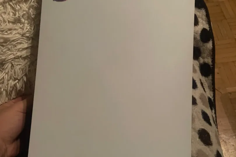 Ps5 genutzt läuft einwandfrei