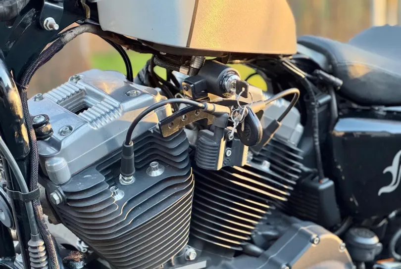 HARLEY-DAVIDSON XL 1200 X Sportster Forty Eight, Usato, Svizzera, Camorino