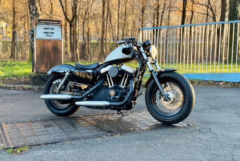 HARLEY-DAVIDSON XL 1200 X Sportster Forty Eight, Usagé, Suisse, Camorino
